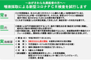 小笠原村では8月11日の東京発便から、おがさわら丸の全乗船客を対象にＰＣＲ検査が実施されます